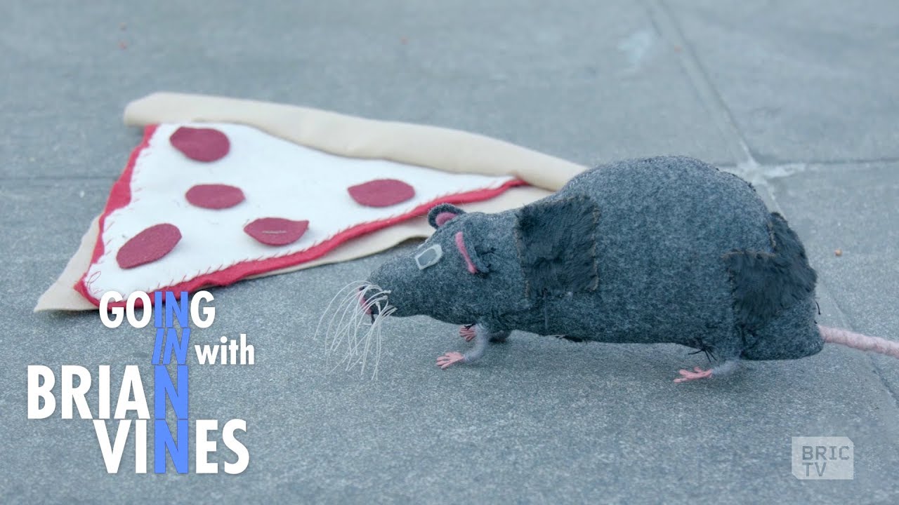 Meet the Rebels against New York’s War on Rats | Going In with Brian Vines
