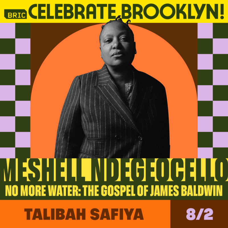 https://bricartsmedia.org/wp-content/uploads/2025/02/13-BCB24_Artist_Social__Cards_Square_Meshell.png