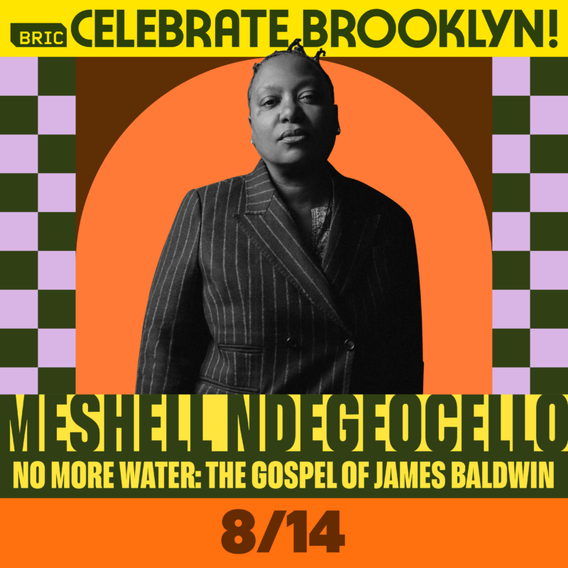 https://bricartsmedia.org/wp-content/uploads/2025/02/BCB24_Artist_Social__Cards_Square-Meshell-Ndegeocello-Rev2.png