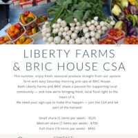 https://bricartsmedia.org/wp-content/uploads/2025/06/CSA-FLYER-1.jpg