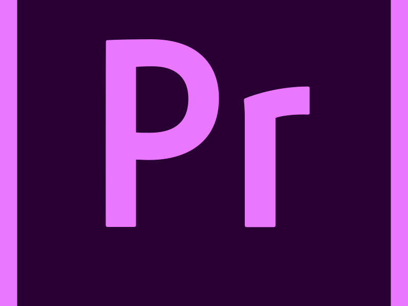 The Premiere Interface