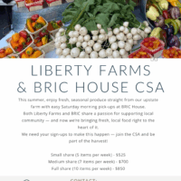 https://bricartsmedia.org/wp-content/uploads/2025/06/CSA-FLYER-1.png